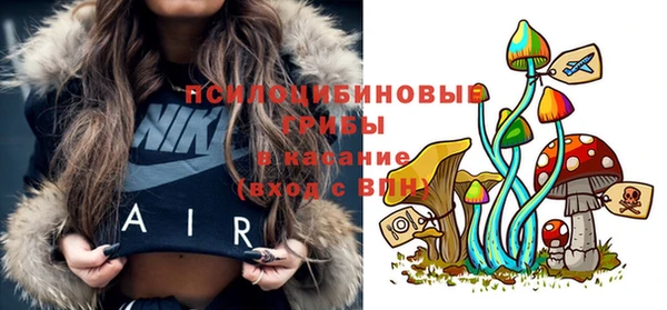 круглые Абаза
